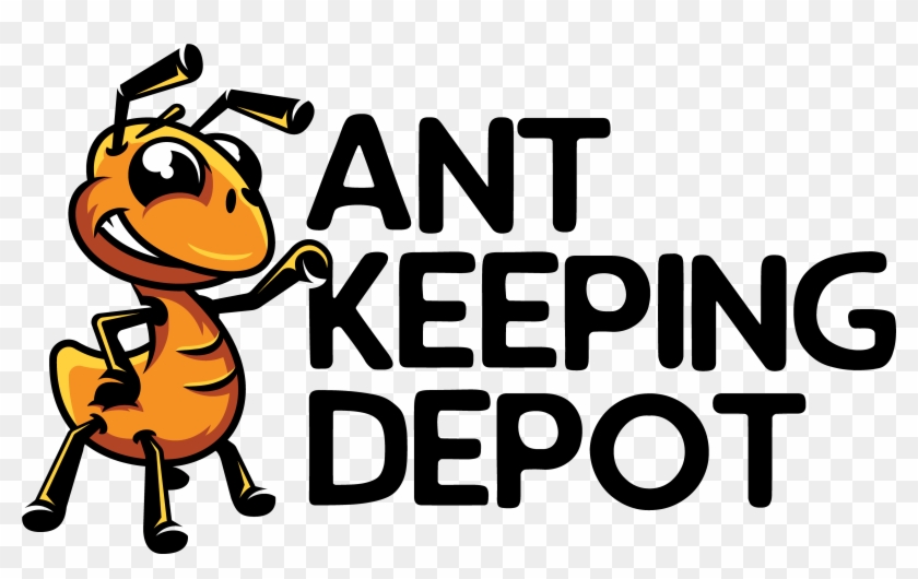 About Us - Ant-keeping #589489