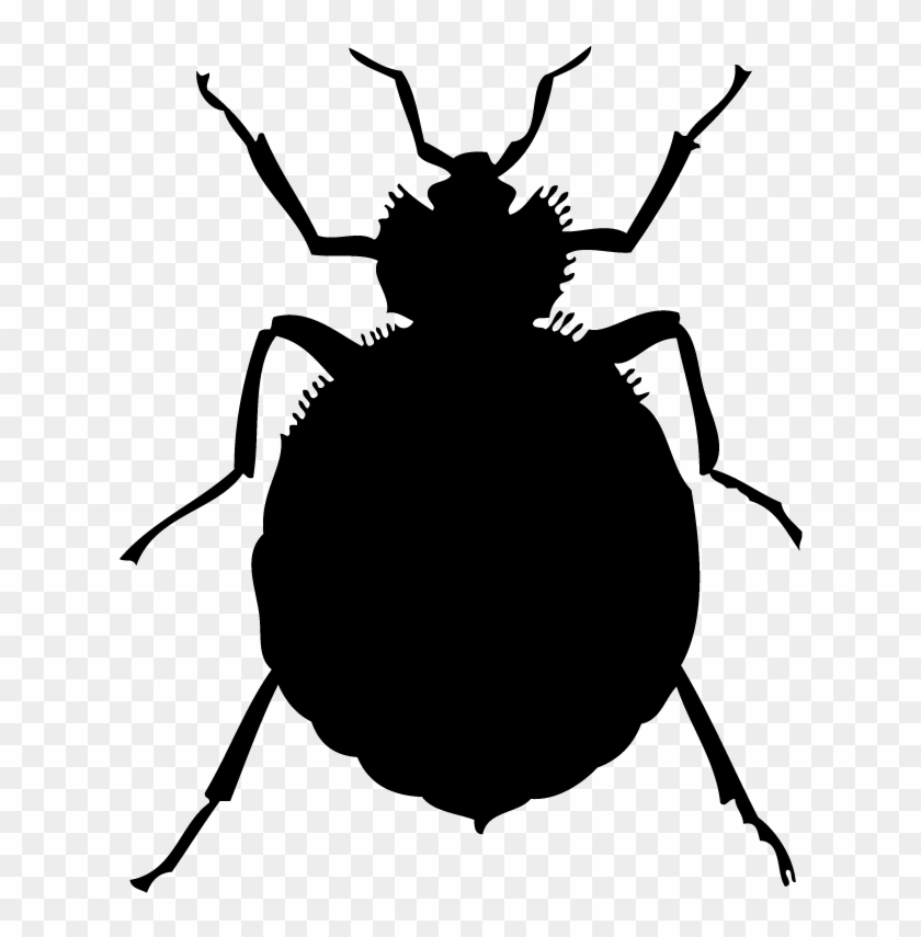 Free Bug Clip Art Black And White - Bed Bugs #589620