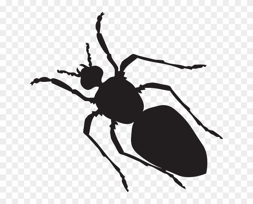 Art Black, Silhouette, Ant, Body, Shape, Segmented, - Bug Silhouette Png #589646