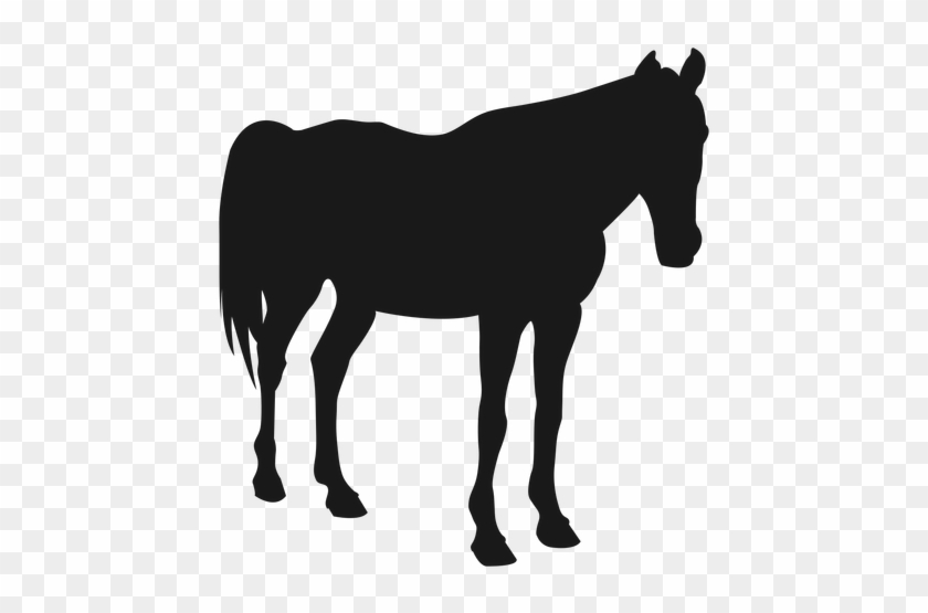Horse Sleeping Silhouette Transparent Png - Zebra Silhouettes #589825