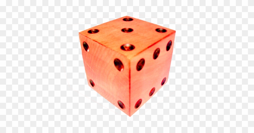 Galeria - Galeria #591036