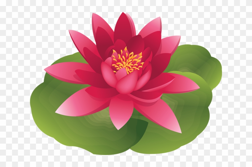 Water Lily Clipart Lily Pad - Water Lily Flower Cartoon #591162
