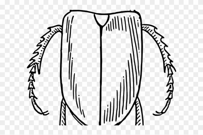 Beetle Outline Cliparts - Beetle Black And White #591970