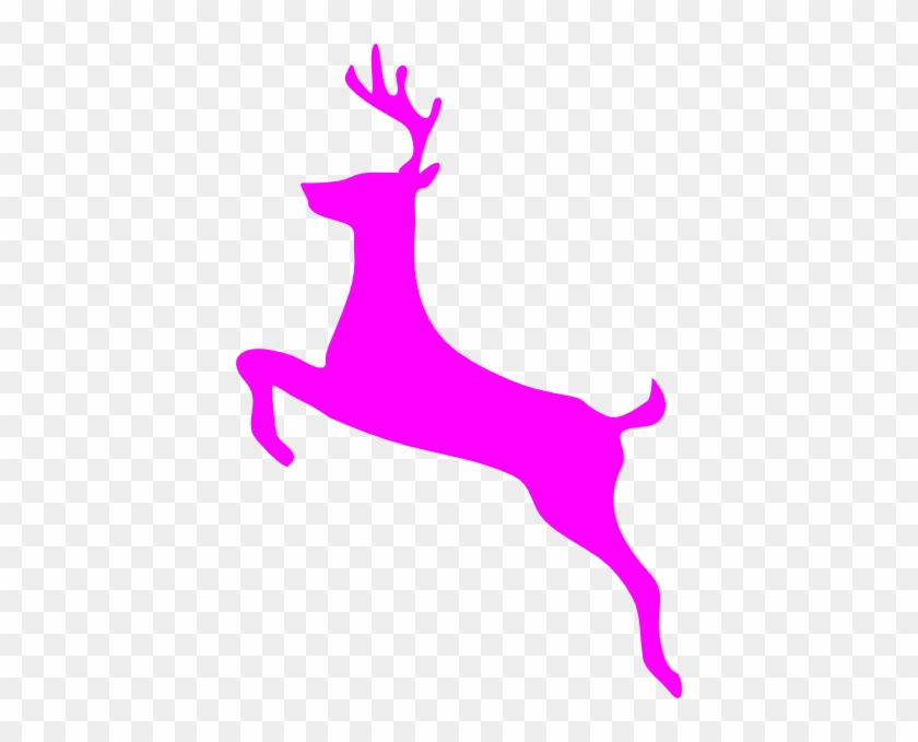 Jumping Deer #592231