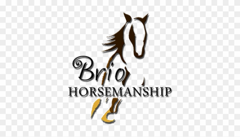 Brio Horsemanship - Stallion #592682