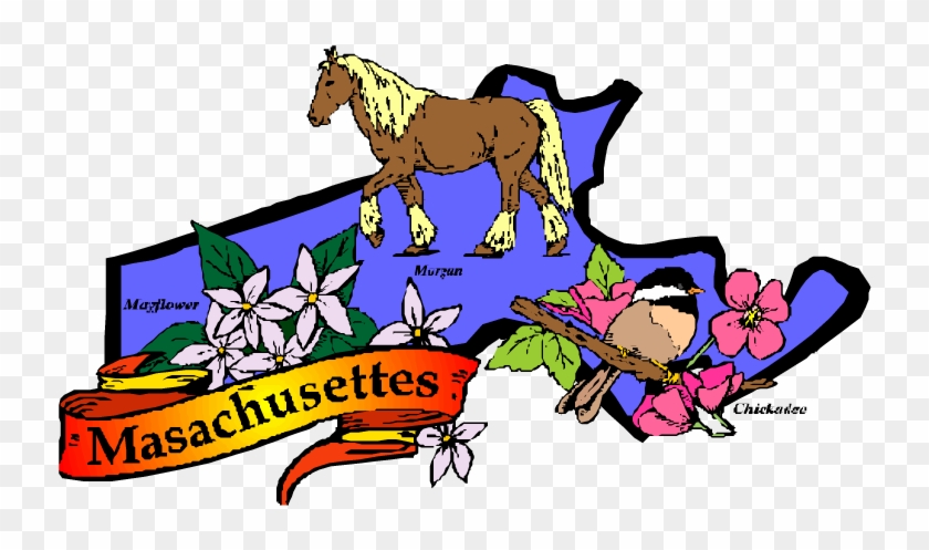 Horse Camping Is Being Considered So Those With Horses - Massachusetts State Clip Art #592709