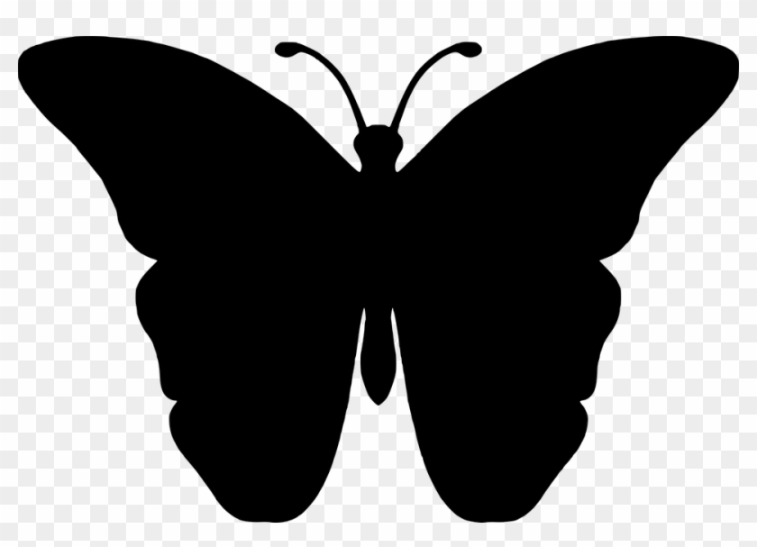 Silhouette, Butterfly, Insect, Wings, Animal, Flourish - Бабочка Силуэт #592815