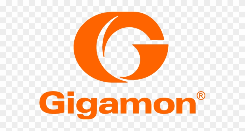 Partners - Gigamon #593295