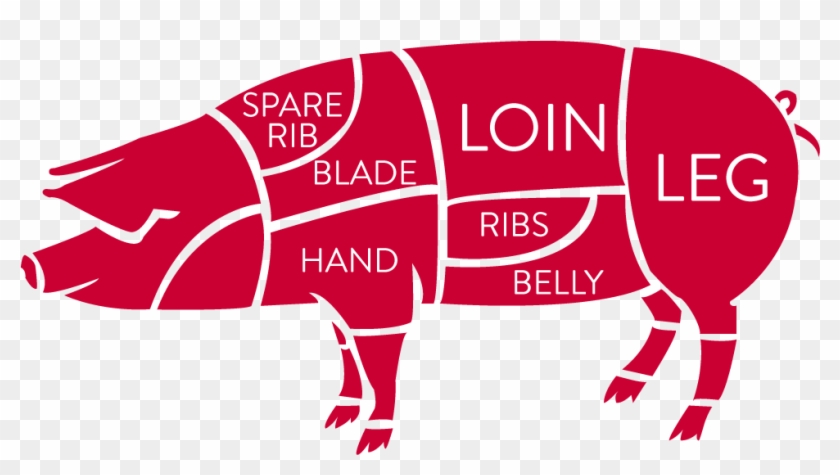 Pork Cuts Illustration - Pork #593702