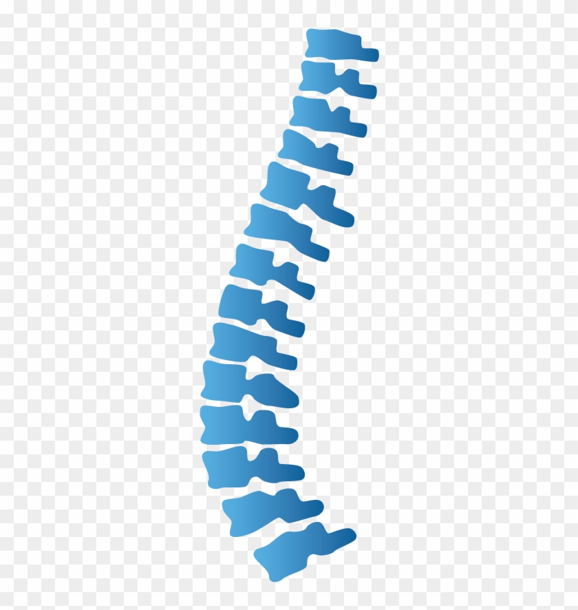 chiropractic spine clipart