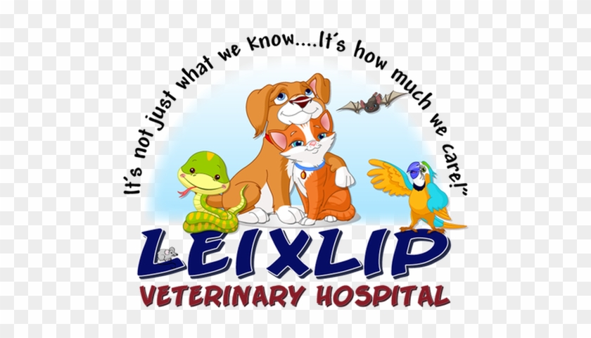 Your Pet's Health Is In Good Hands - Leixlip #594228