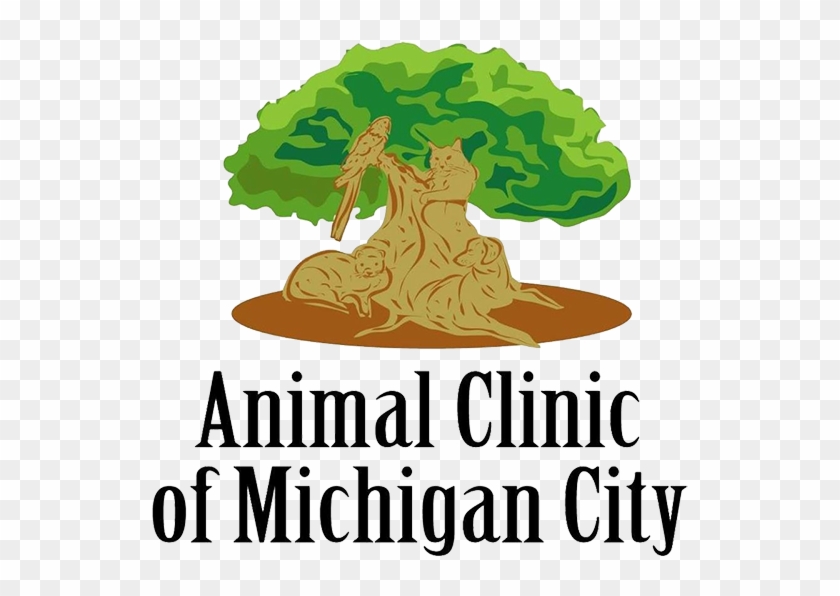 Schedule An Appointment Today - Animal Clinic Of Michigan City #594290