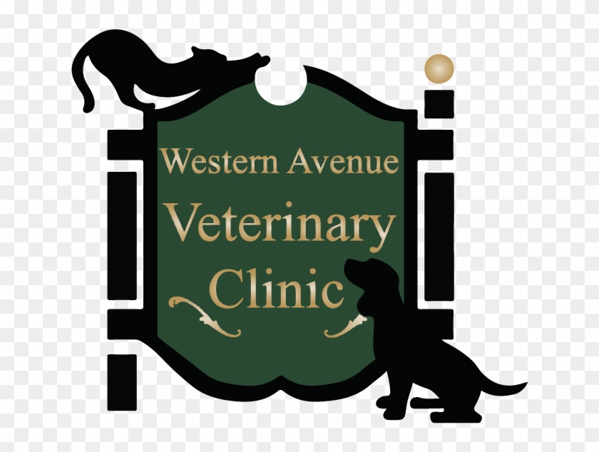 Western Avenue Veterinary Clinic - Illustration #594415