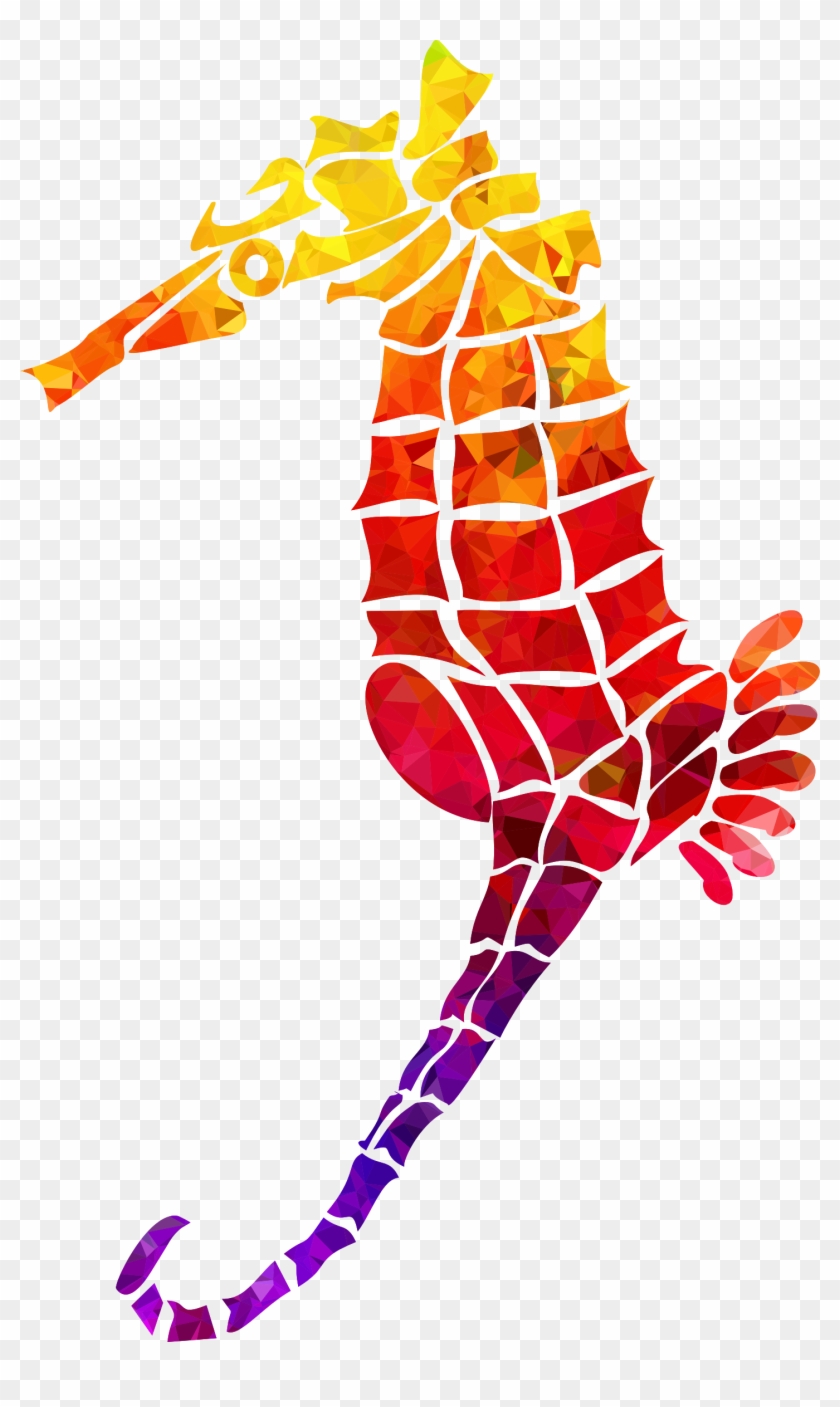 Big Image - Seahorse #594438