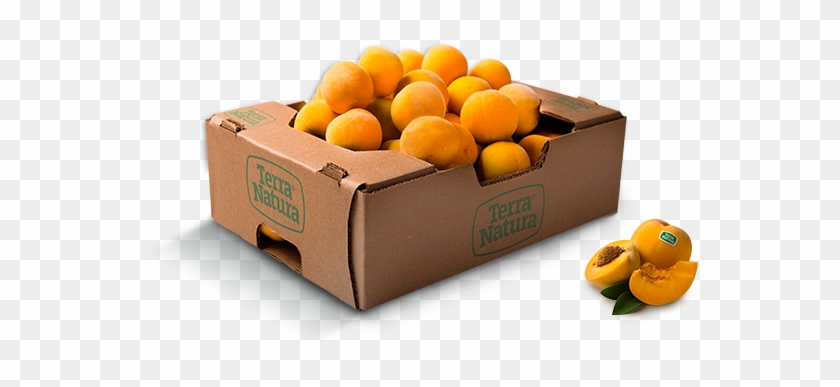Durazno - Tangerine #594874