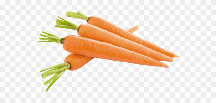 Contiene Numerosi Sali Minerali Come Sodio, Potassio, - Carrot Png #594908