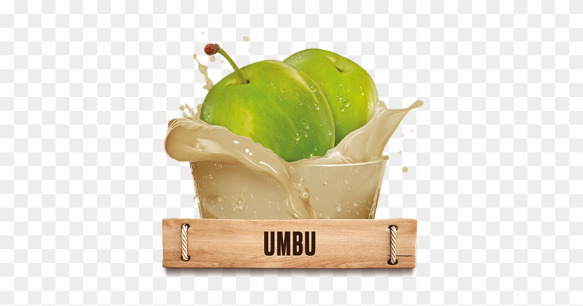 A Fruta Umbu É Nutritiva E Fornece Componentes Importantes - Granny Smith #594957
