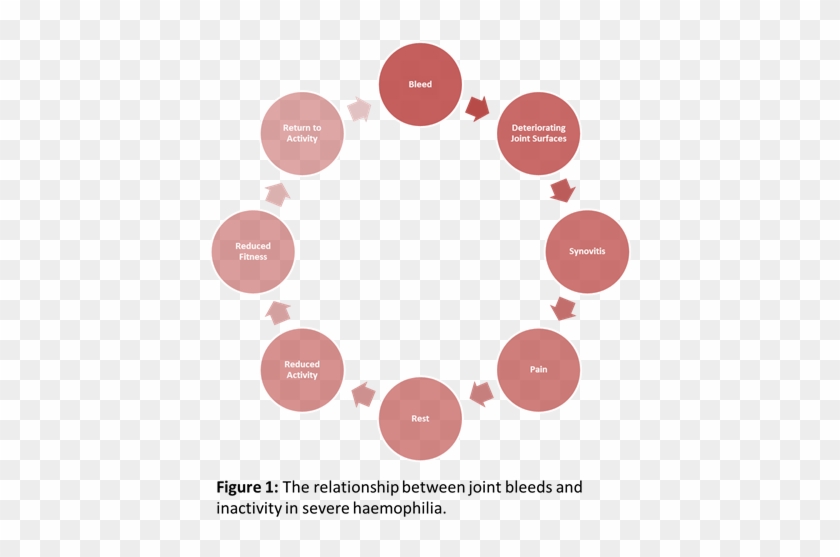 Fig 1 Haemophilia Cycle - Clinical Trial Management System #594986
