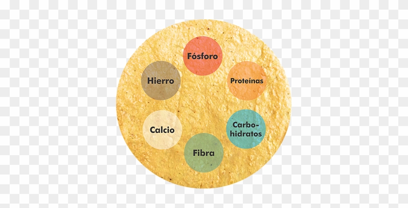 La Tortilla - Circle #594995