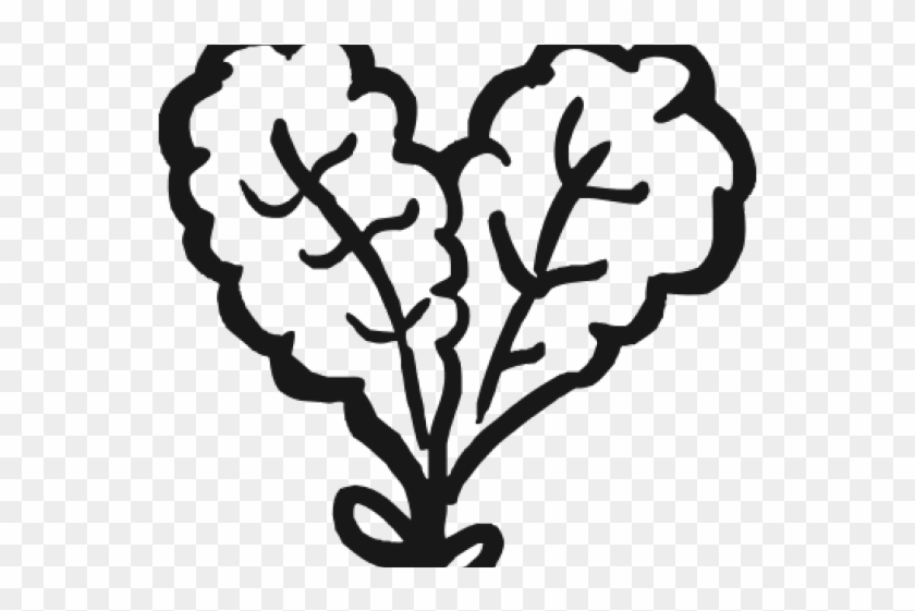 Kale Clipart Black And White - Clip Art #595110