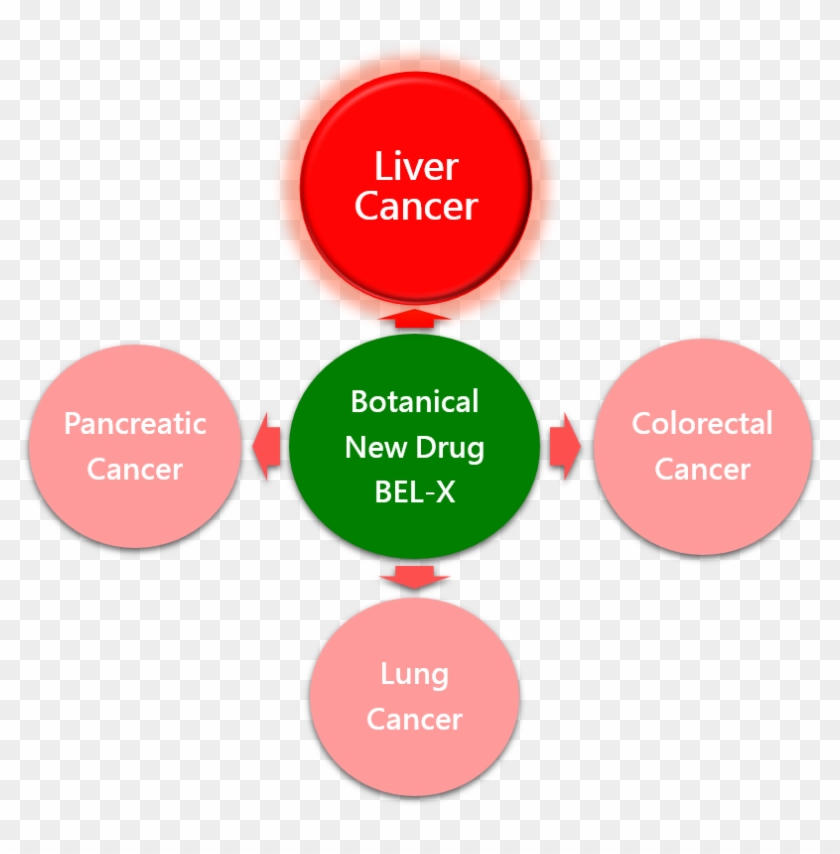 Liver Cancer-20161101 - Joint-stock Company #595562