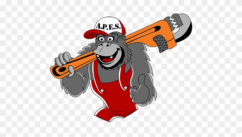 Share - Apes Plumbing #595957