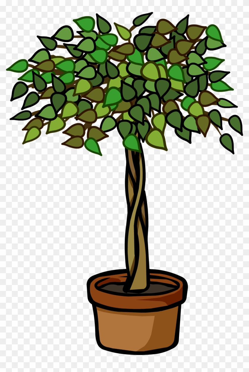 John Cena Clipart Plant - Club Penguin Furniture Plant #596399