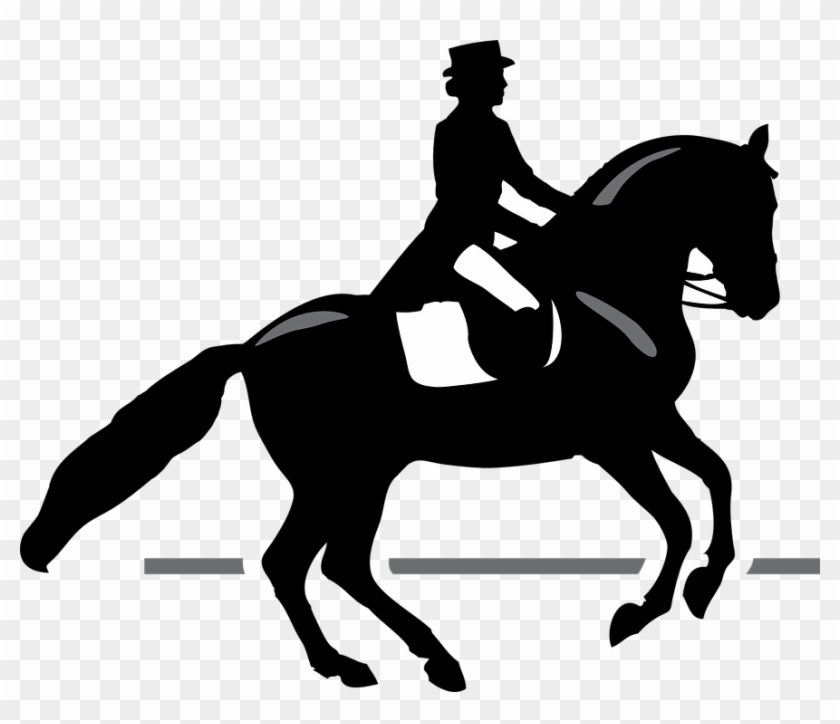 Horse Riding Clipart - Race Horse Silhouette Png #596411