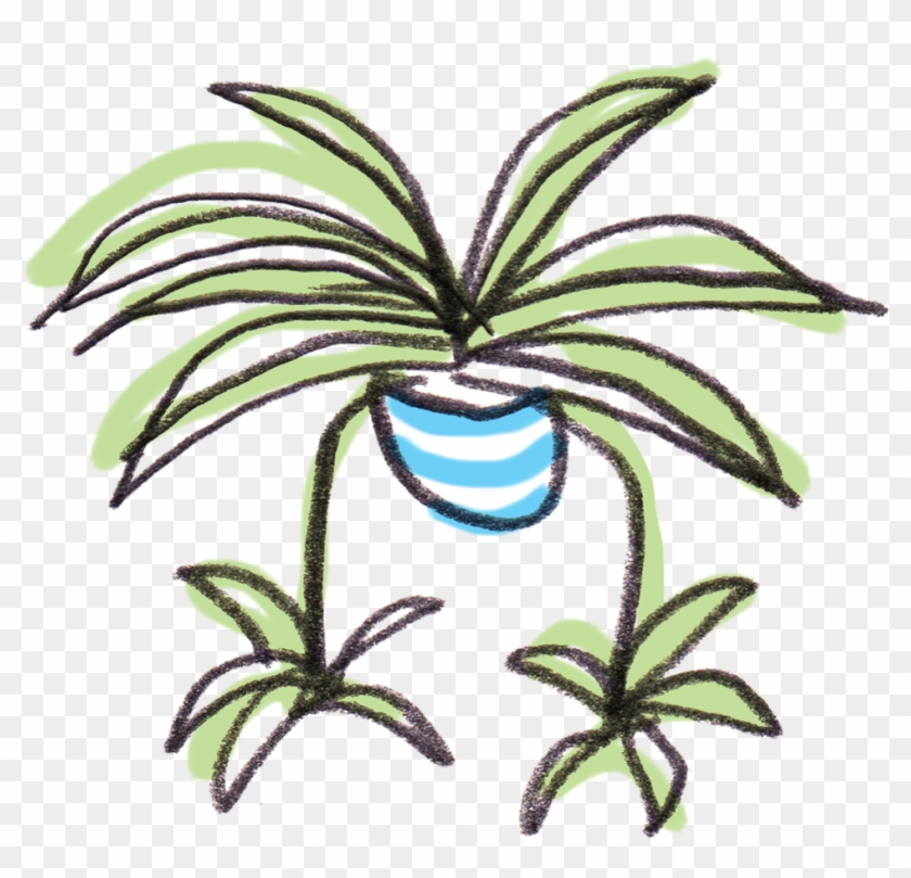 Spider Plant Clipart - Spider Plant Png #596453