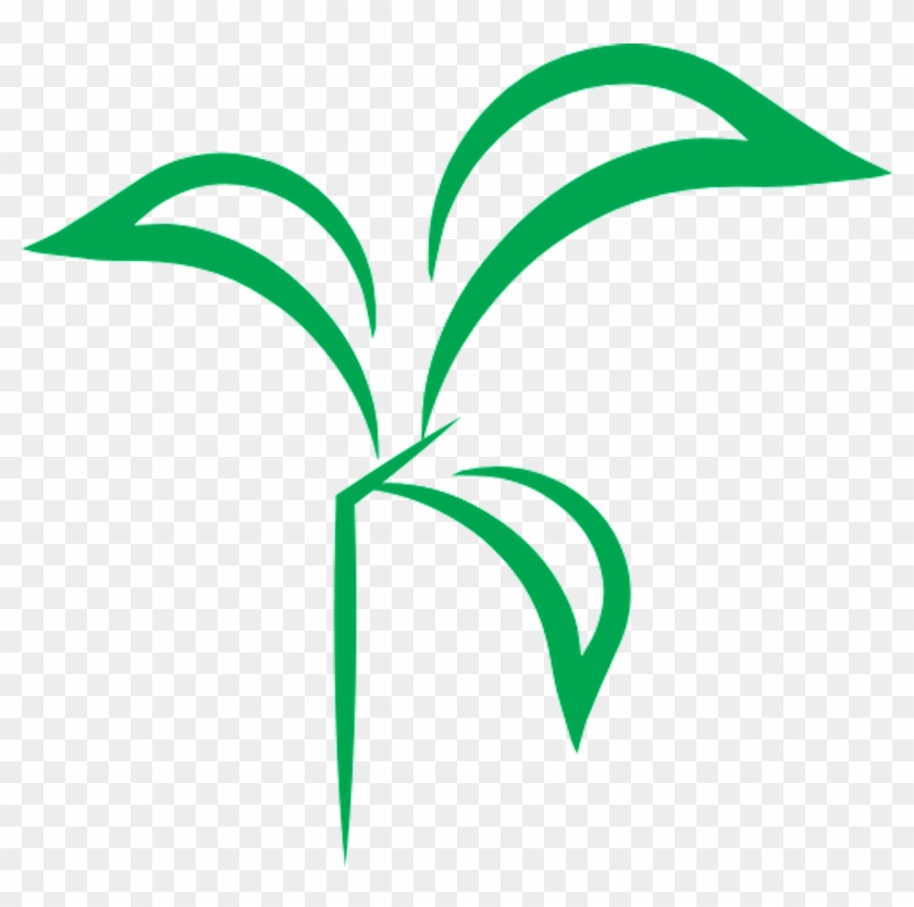Leaf Line Angle Plant Stem Clip Art - Leaf Line Angle Plant Stem Clip Art #596525