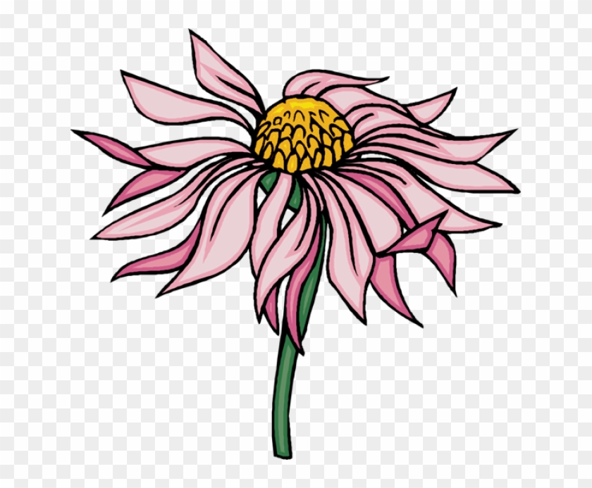 Beautiful Clip Art Of Flowers - Cone Flower Clipart #596679