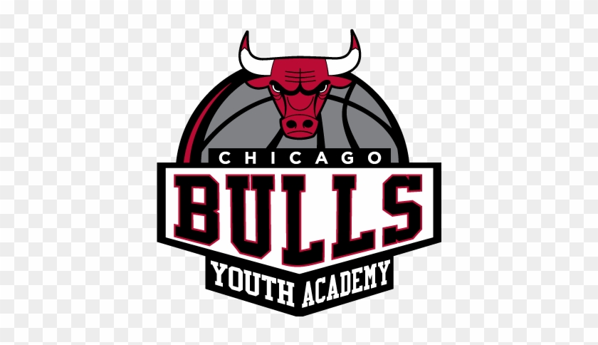 Official Youth Sport Development Program Of The White - Nba Chicago Bulls Street Grip Fathead #597222