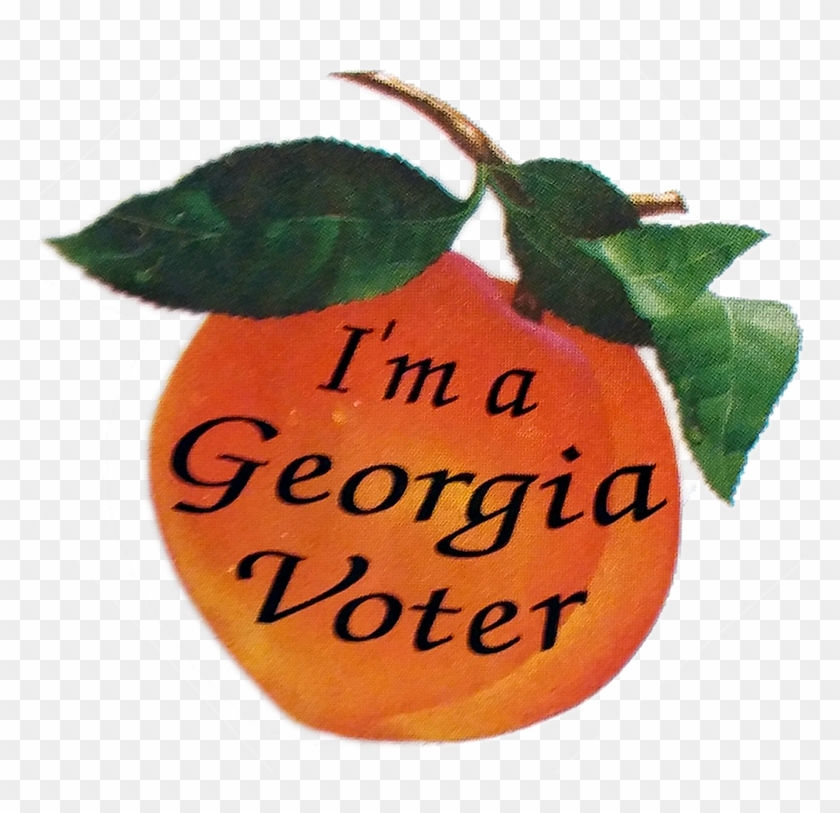 Paulding County Ga Elections Amp Voter Registration - M A Georgia Voter Sticker #597496