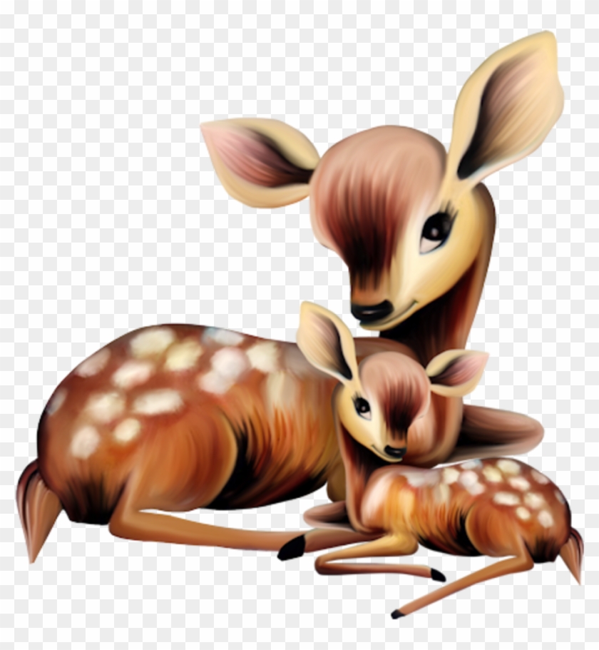 Tubes Animaux - - Carolineblue - Baby Deer And Mom Clipart #598043