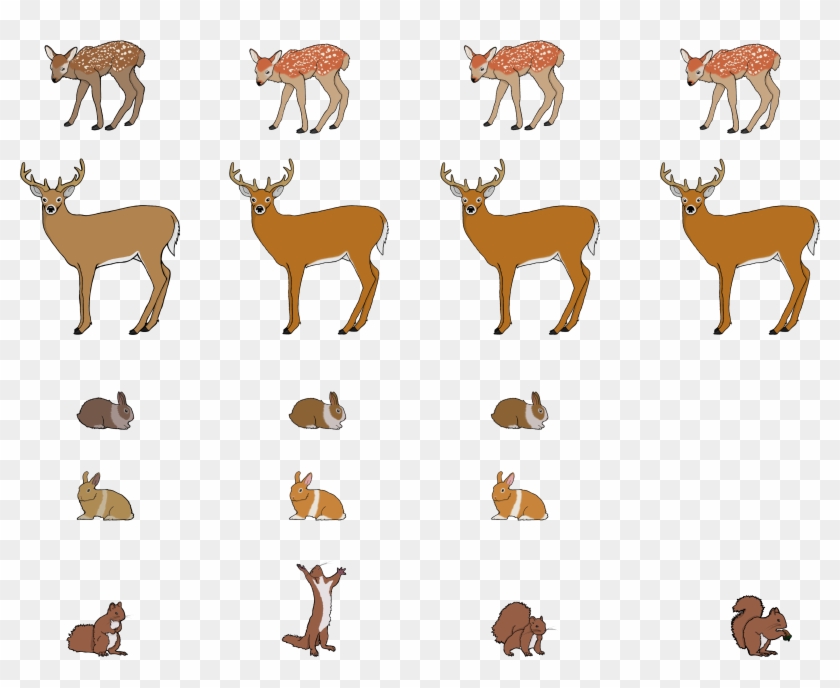 Woodland Animals And Squirrel Poses - Sprite Sheet Deer #598061