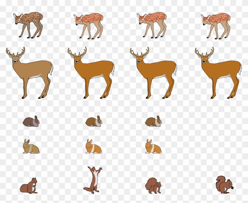 Animal Sprite Sheet