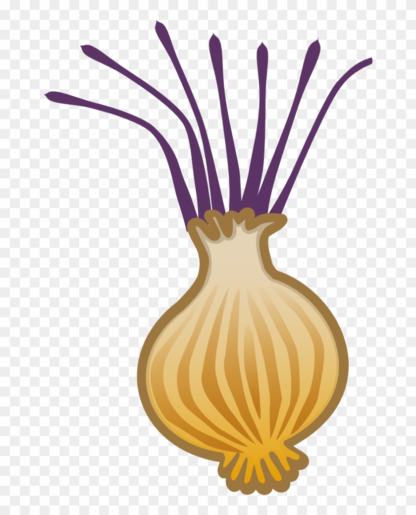 Onion 2 999px 113 - Root Vegetables Cliparts #598126