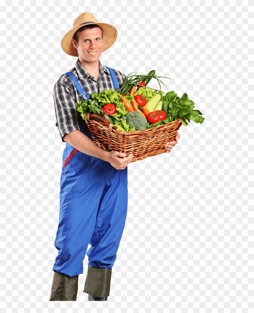 Farmer - Vegetable Farmer Png #598142