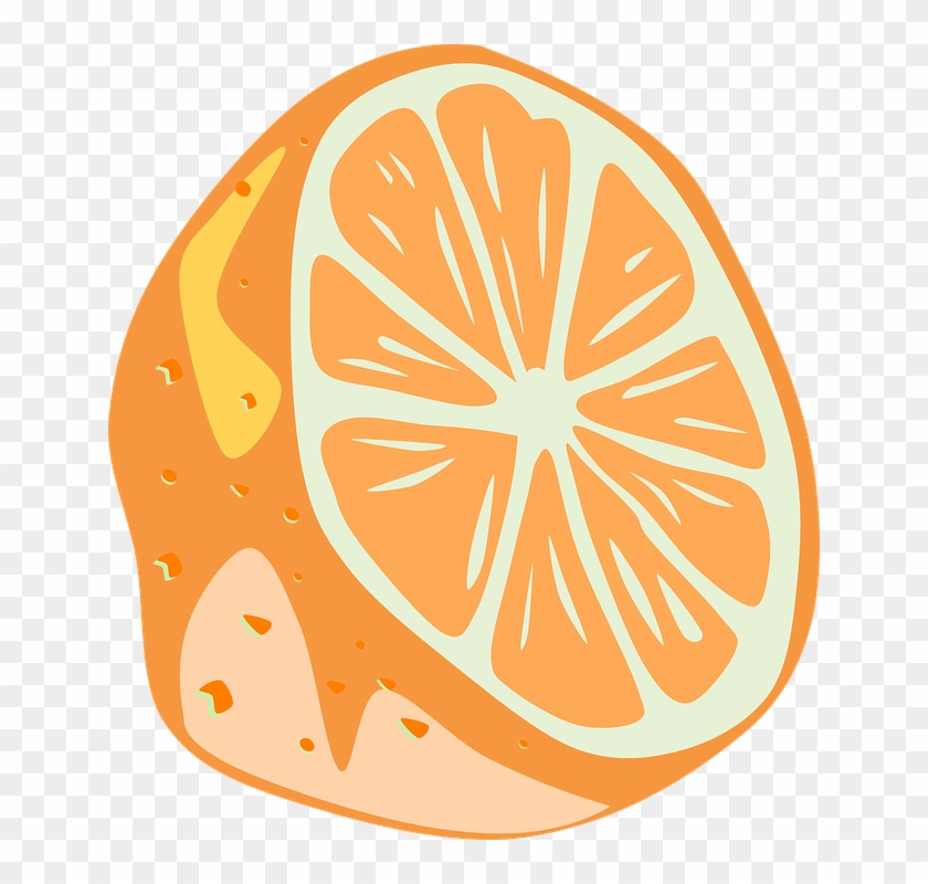 Free Orange Cliparts 5, Buy Clip Art - Lime Clip Art #598154
