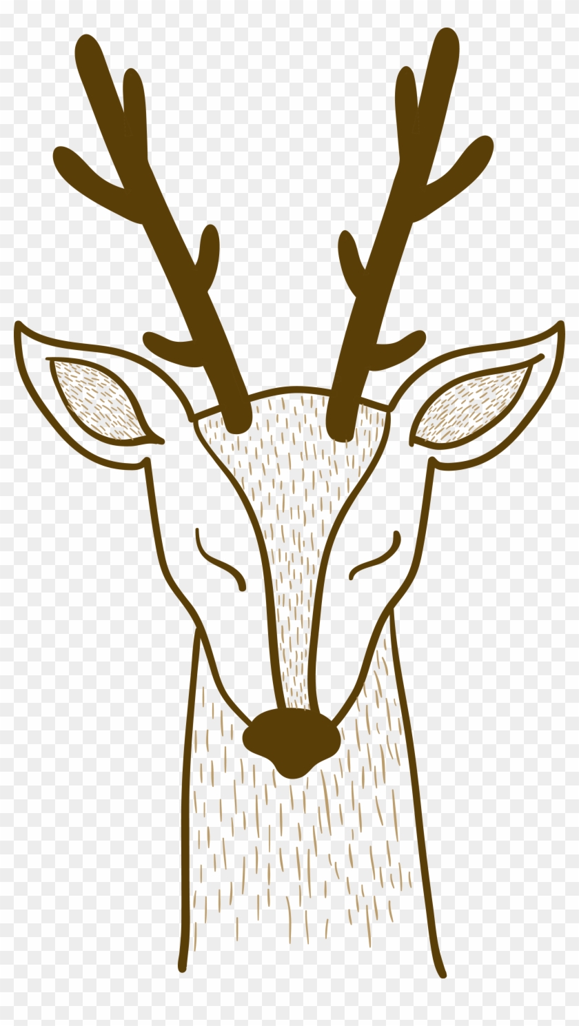 Pxe8re Davids Deer Sika Deer - Pxe8re Davids Deer Sika Deer #598330