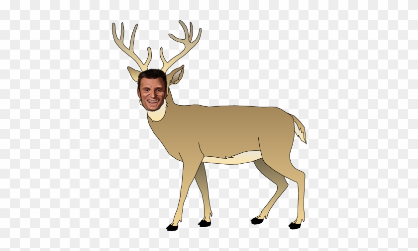 Monday Message - Deer In Headlights Logo #598377