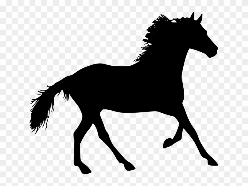 The Horse, Konik, Galop, Jump, Animal, Runs, The Stroke - Horse Silhouette #598411