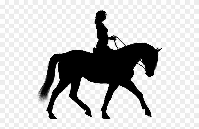 Jumping Horse Silhouette 19, - Equitazione Silhouette #598422