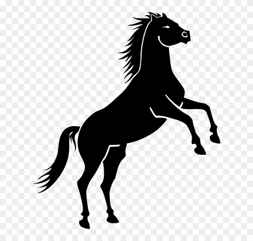 Jumping Horse Silhouette 27, - Horse Vector #598425