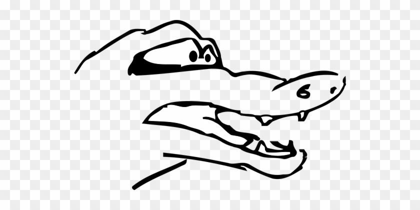 Alligator, Mouth, Sad, Teeth, Reptile - Sad Alligator Drawing #598633