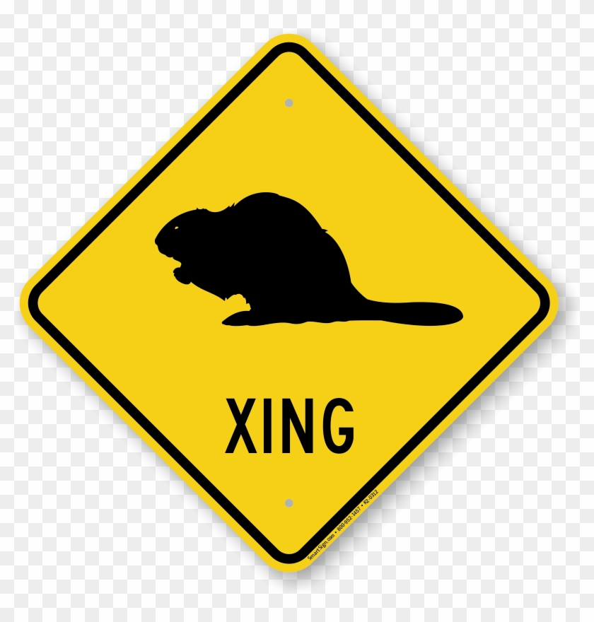 Beaver Xing Road Sign - Australia Road Sign #598816