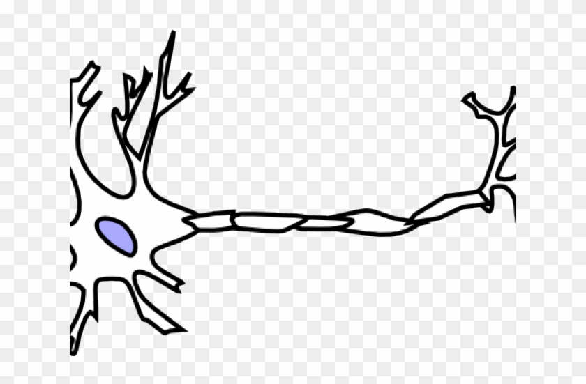 Neuron Clipart Clip Art - Scalable Vector Graphics #599072