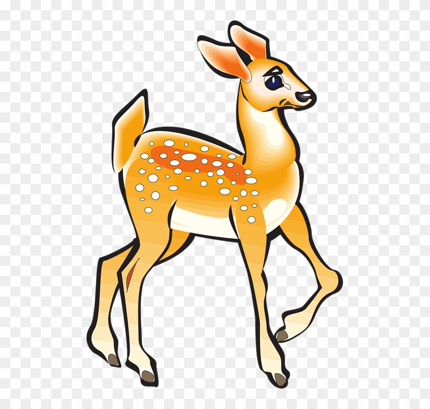 Walking Deer Cliparts 25, - Fawn Clipart #599154