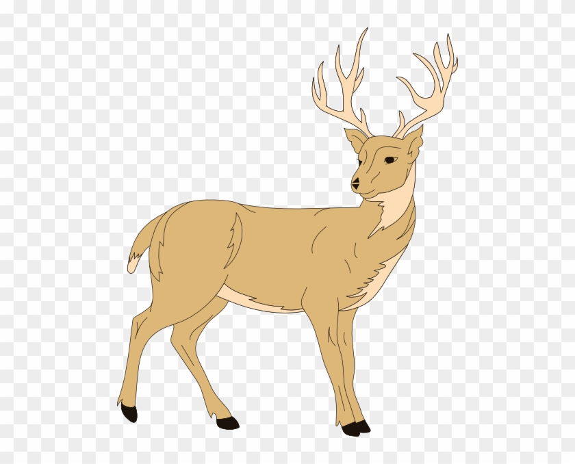 Deer #599222