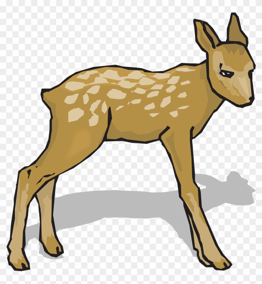 Fawn Animal Deer Nature Png Image - Do Re Mi Song Flash Cards #599232